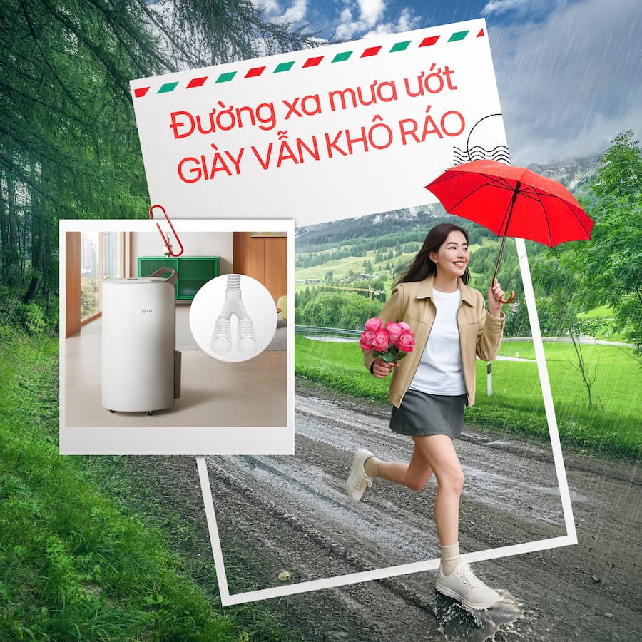 5 Tiêu Chí Quan Trọng Nhất Khi Chọn Mua Máy Hút Ẩm Cho Gia Đình