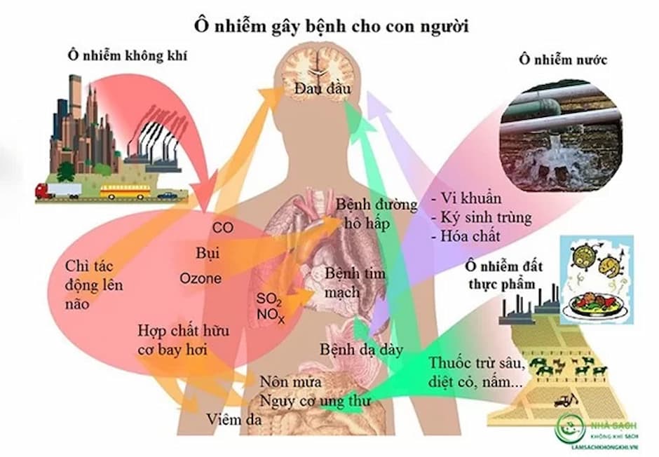 Ô nhiễm không khí – Mối đe dọa thầm lặng đối với sức khỏe