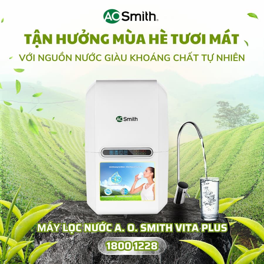 Dòng sản phẩm tiêu biểu AO Smith giữ khoáng