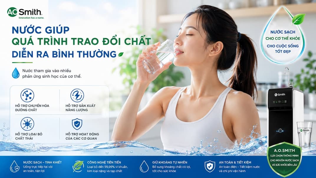 Đánh giá mức độ phù hợp của máy lọc nước A.O. Smith dựa trên chất lượng nước Hà Nội