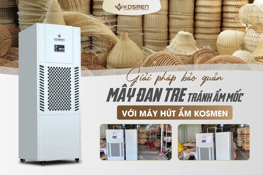 Vì Sao Doanh Nghiệp Chọn Máy Hút Ẩm Công Nghiệp Kosmen?