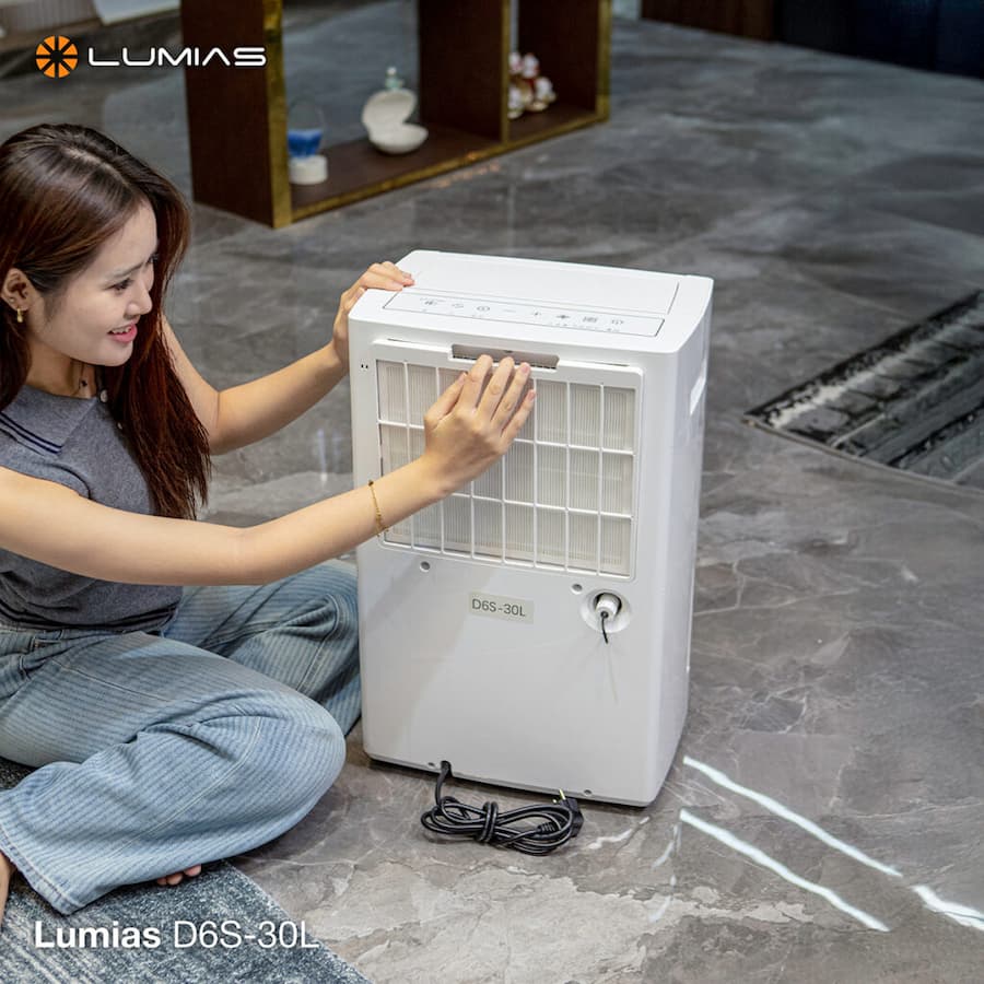 Máy hút ẩm kiêm lọc không khí Lumias D6S-30L