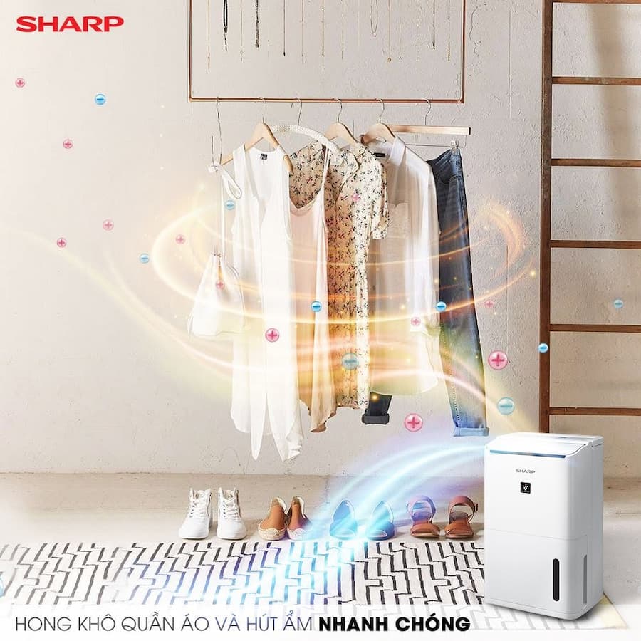 Máy hút ẩm Sharp DW-D20A-W phù hợp với ai?