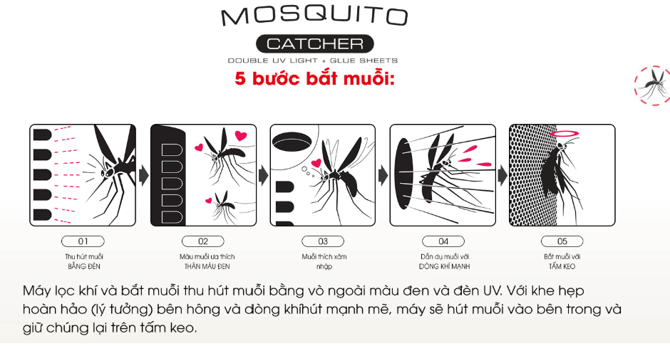 Bắt muỗi một cách hiệu quả
