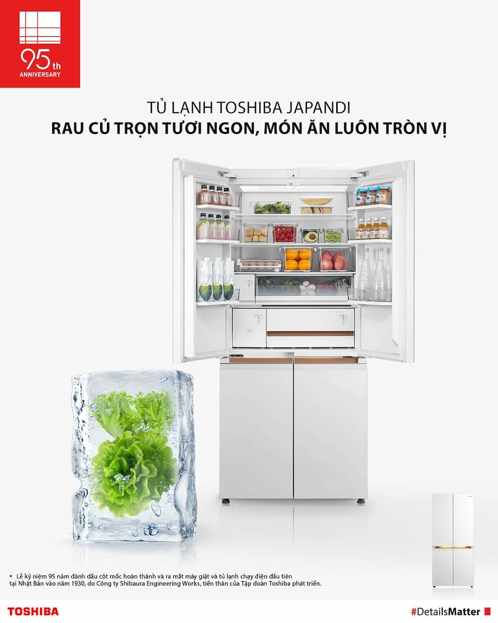 Đối Tượng Phù Hợp Với Tủ Lạnh Toshiba