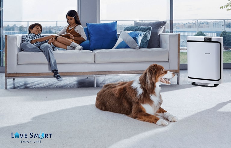 Máy lọc không khí phòng khách Boneco P500 giúp bạn thỏa sức yêu thú cưng