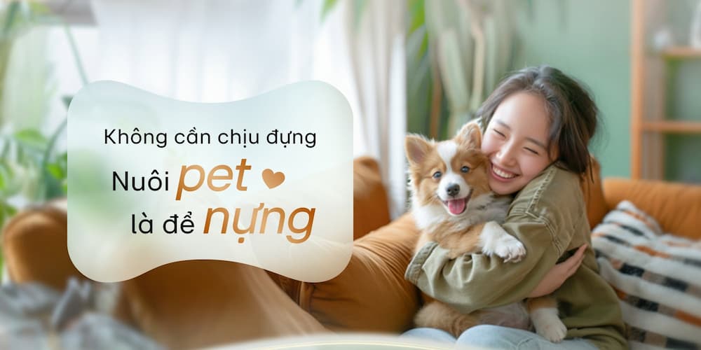 Đánh giá chi tiết Máy lọc không khí LG PuriCare360 Alpha PET AS10GDBY0