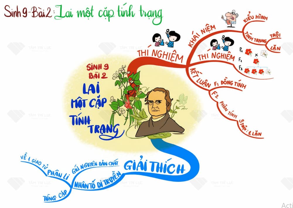 BÍ QUYẾT HỌC TỐT MÔN KHOA HỌC TỰ NHIÊN (KHTN) LỚP 9