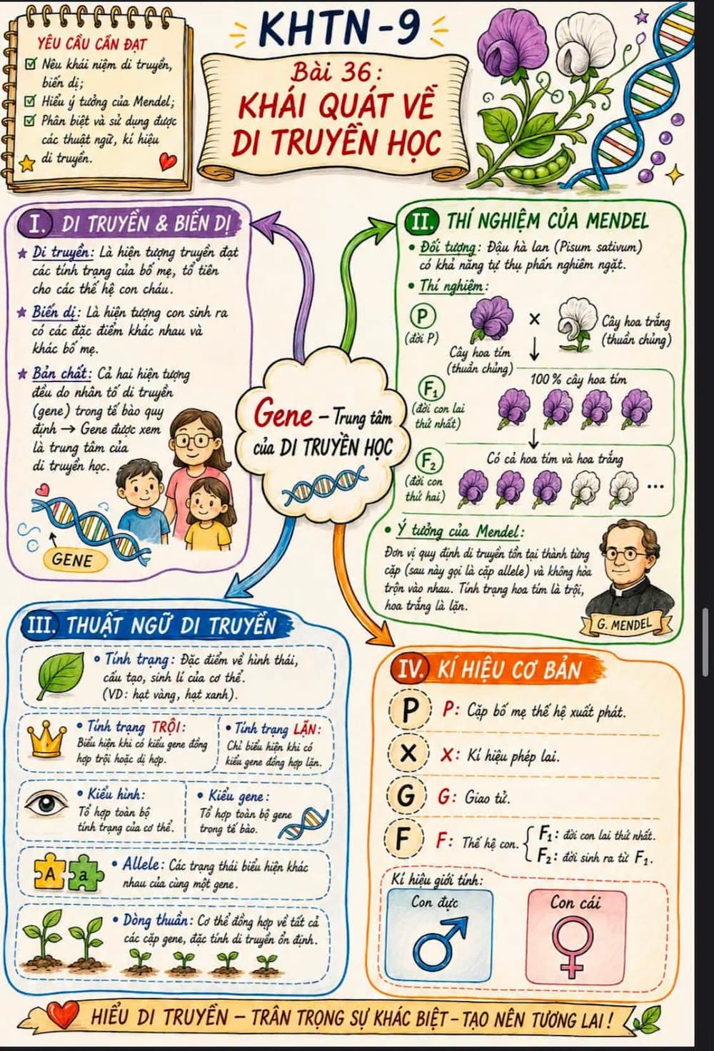 CÂU HỎI THƯỜNG GẶP (FAQ)