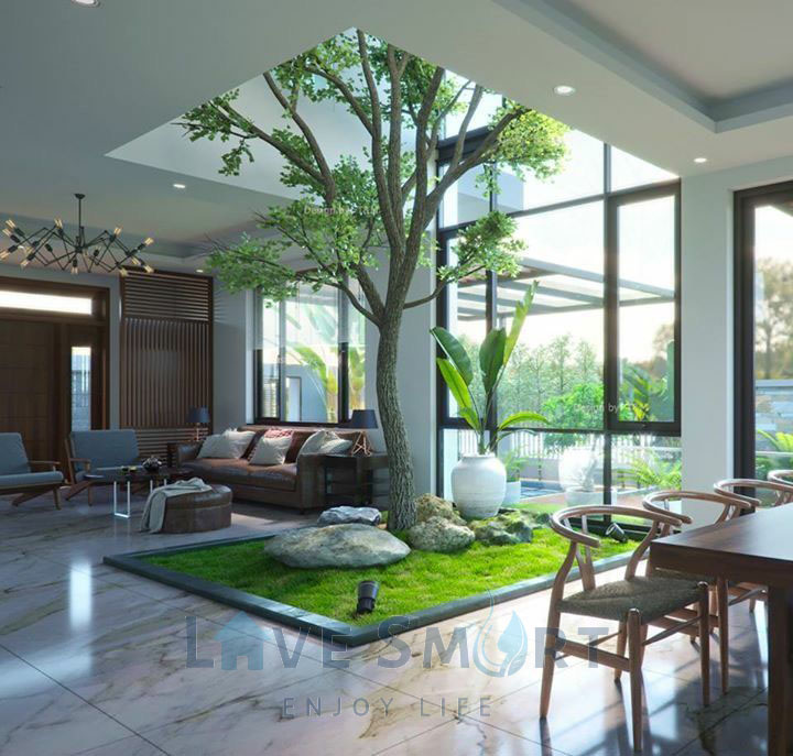 Cây trồng trong nhà để lọc không khí ô nhiễm