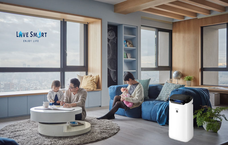 Máy lọc không khí và cây trồng trong nhà: Cái nào tốt hơn và tại sao?